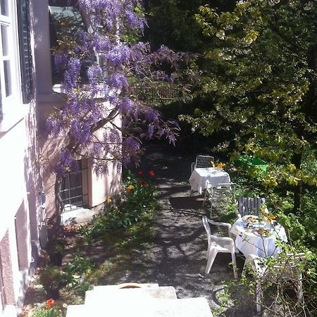 Garden Studio Apartment Zuerichberg Szoba fotó