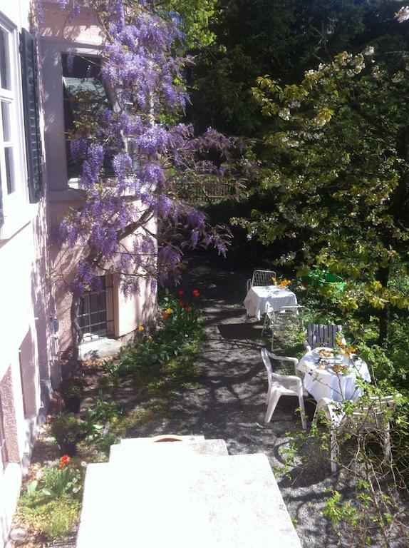 Garden Studio Apartment Zuerichberg Szoba fotó